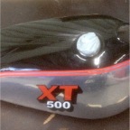 T1.JPG