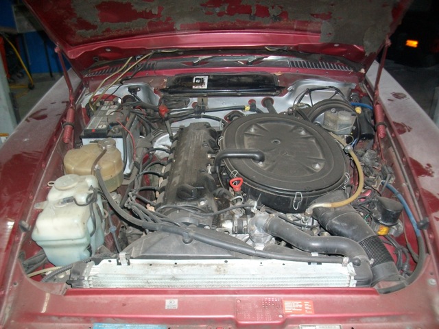 Loading Image